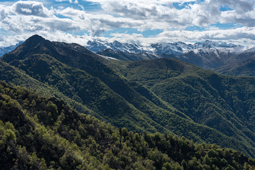 Varianti parziali ai PRG vigenti negli estinti comuni di Valdilana